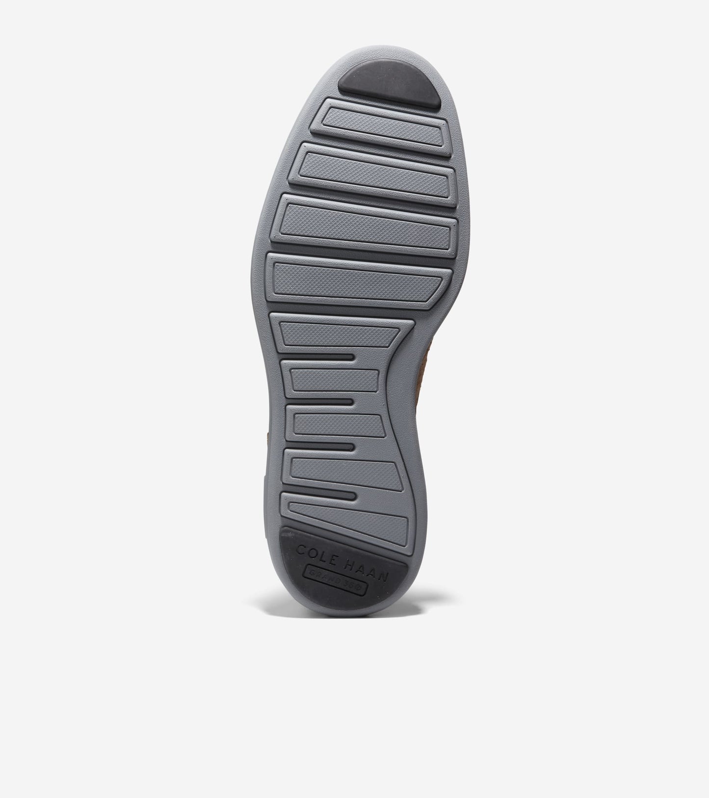 C37151:FOSSIL/METALLIC/ROSE OF SHARON