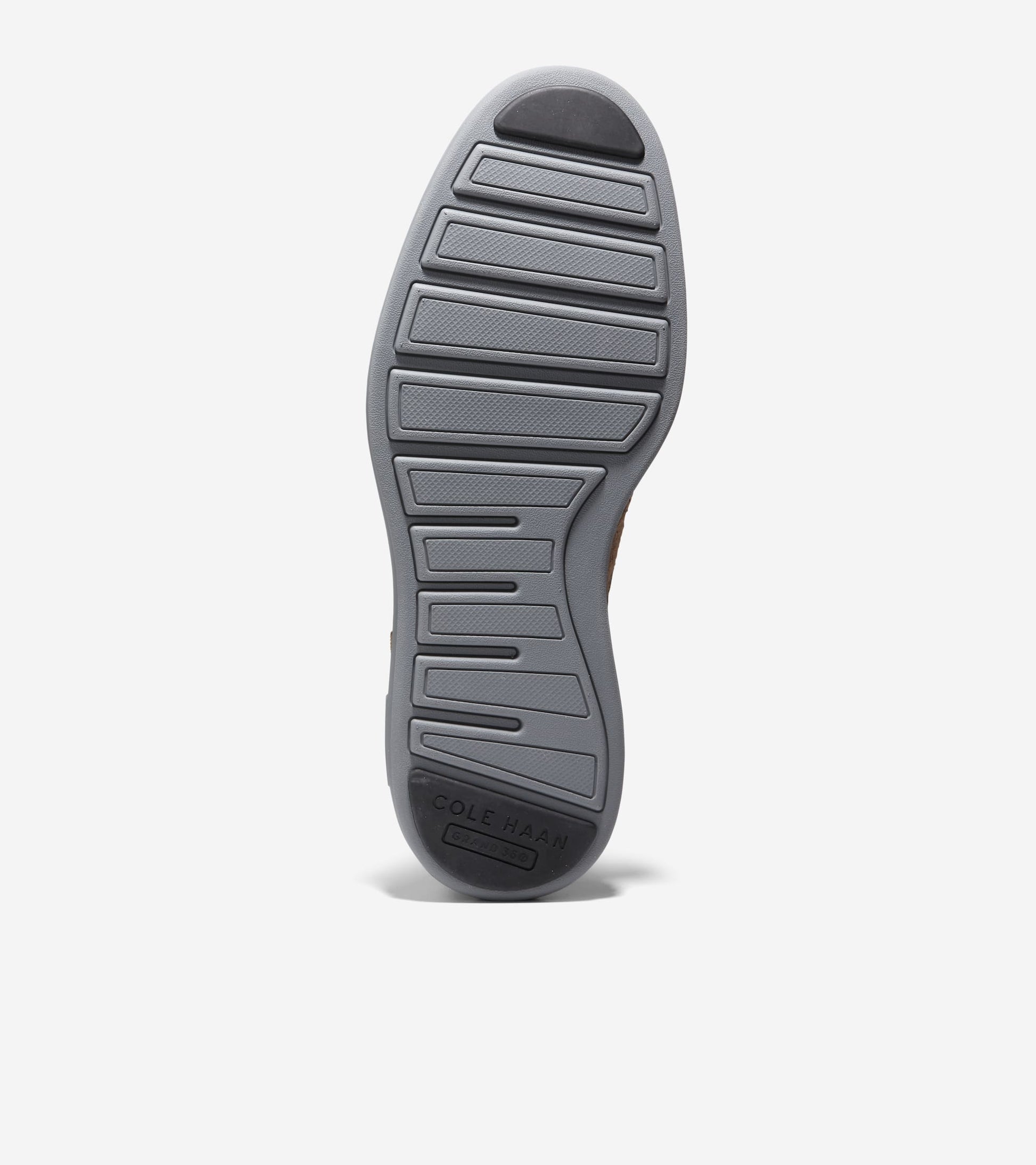 C37151:FOSSIL/METALLIC/ROSE OF SHARON