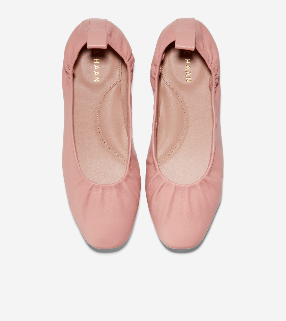 W25541:PEONY LTR
