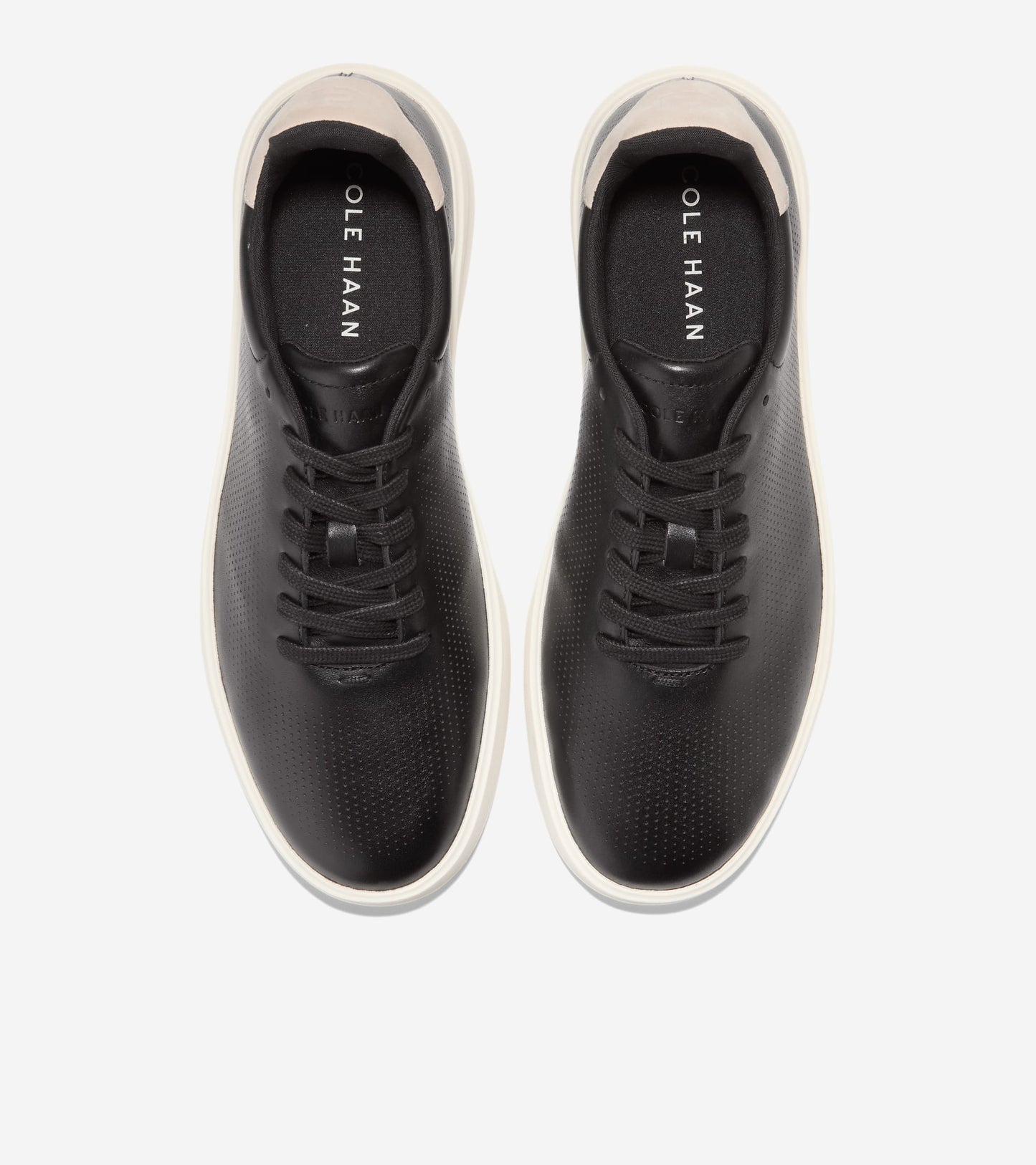 C40601:BLACK / ANCIENT SCROLL / IVORY