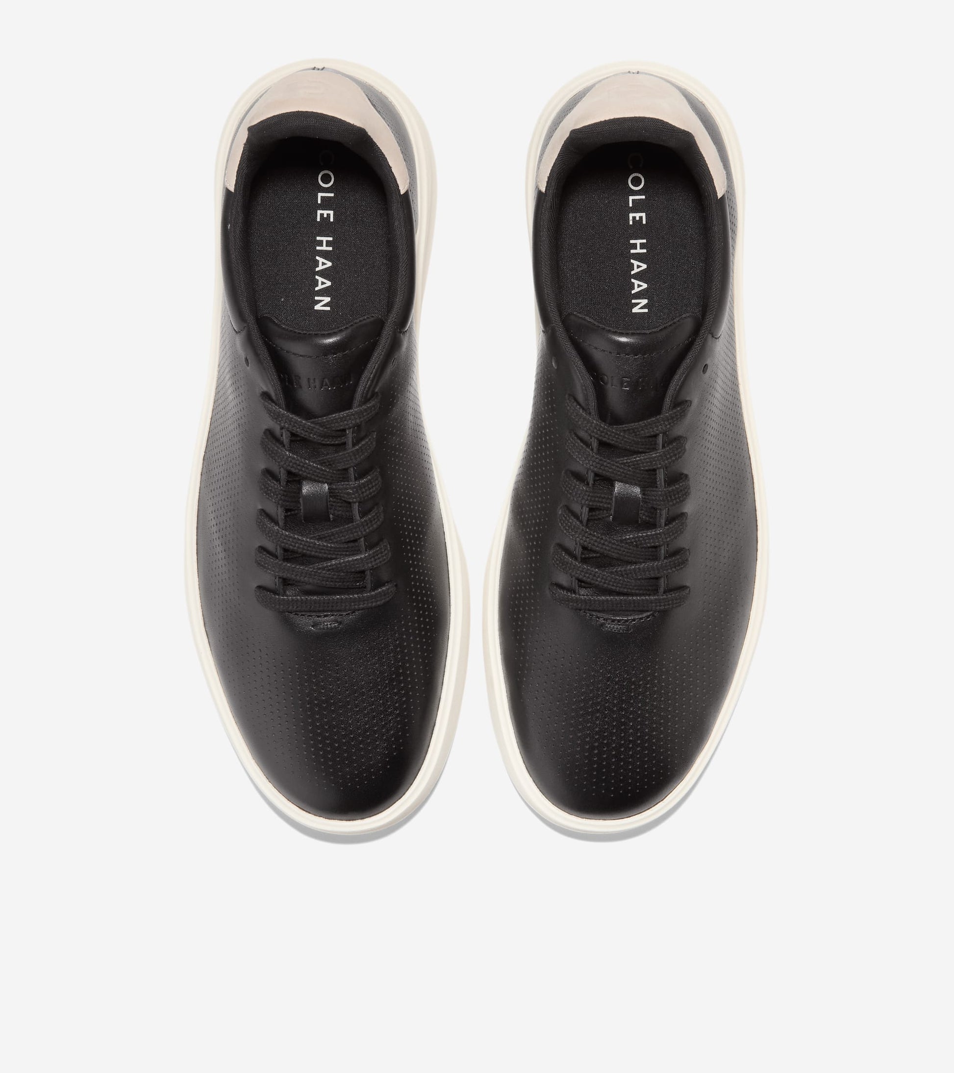 C40601:BLACK / ANCIENT SCROLL / IVORY