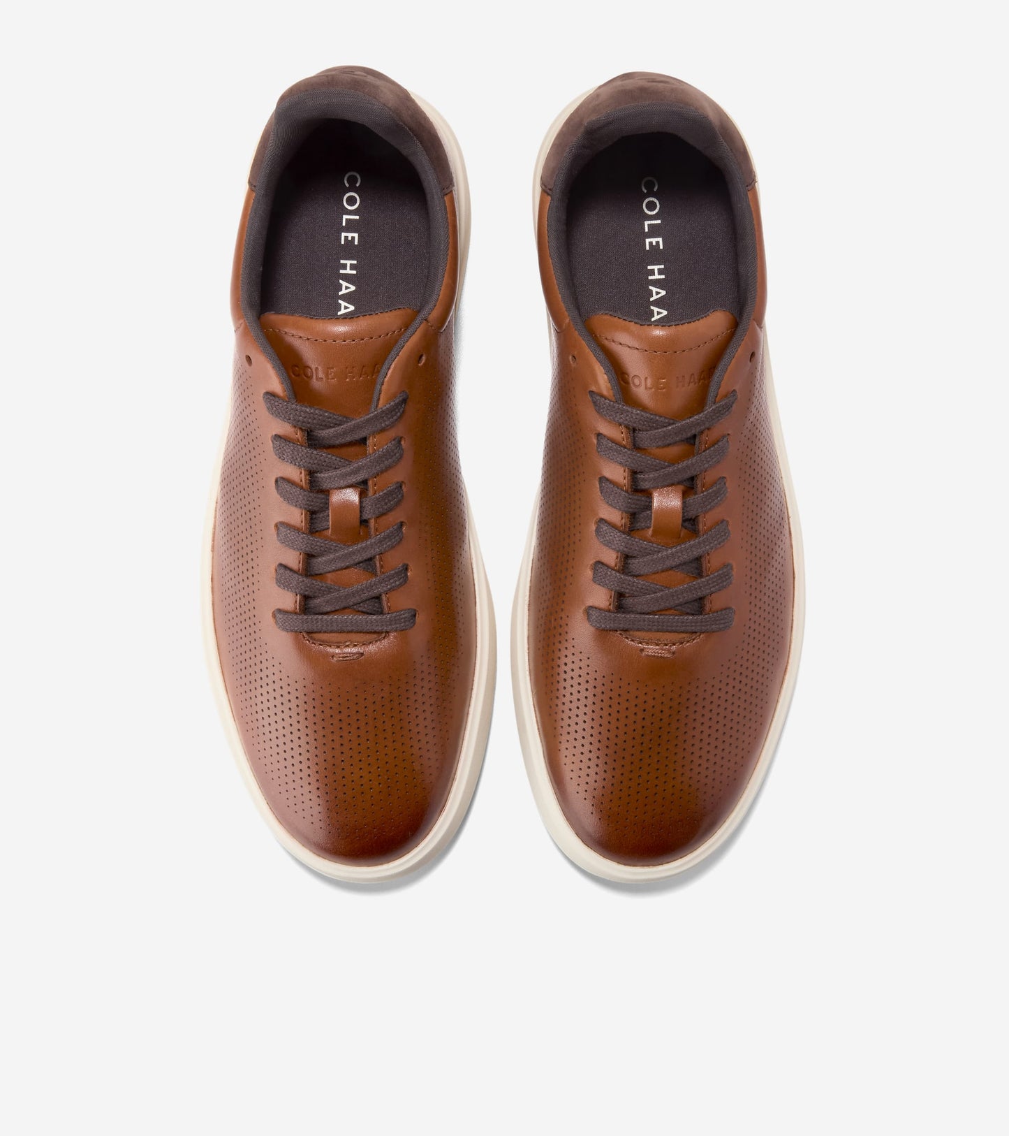 C40603:BRITISH TAN / CH DK CHOCOLATE / IVORY