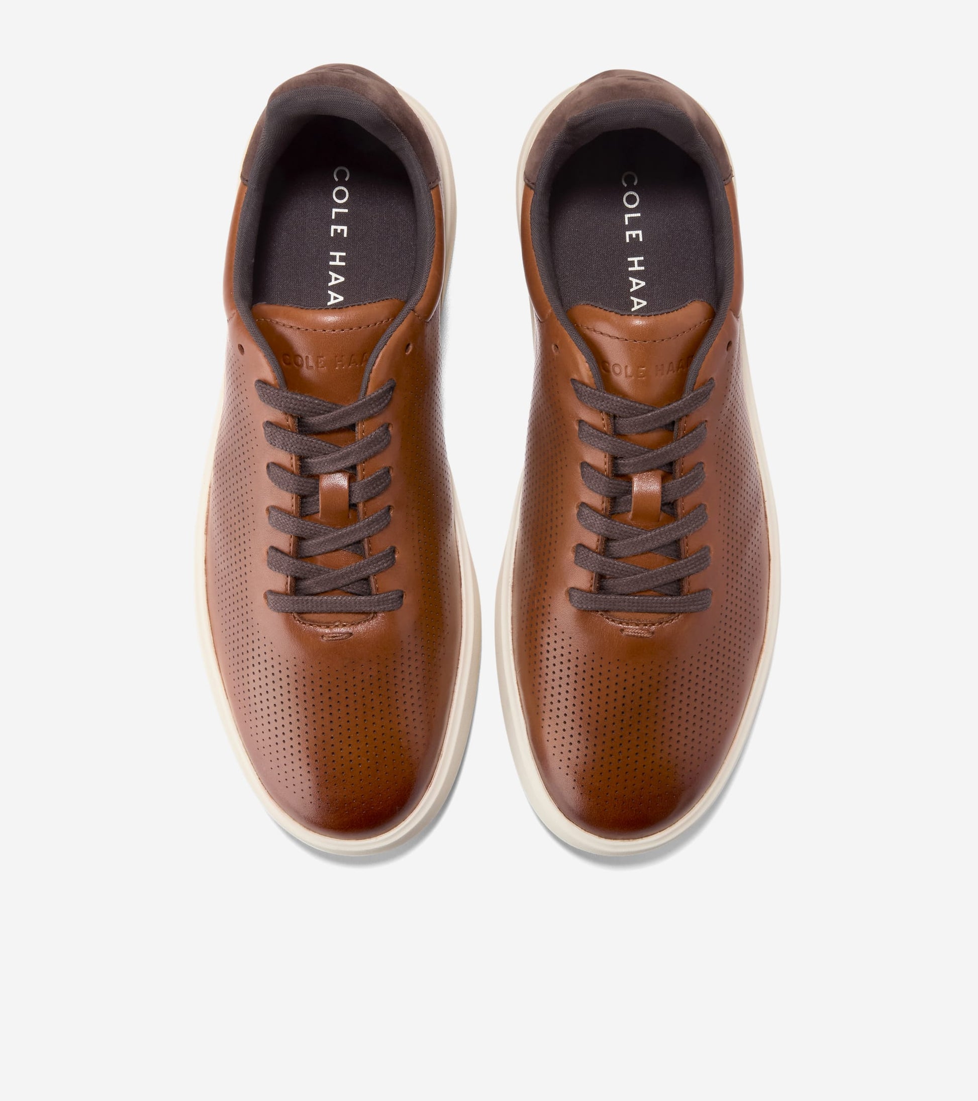 C40603:BRITISH TAN / CH DK CHOCOLATE / IVORY