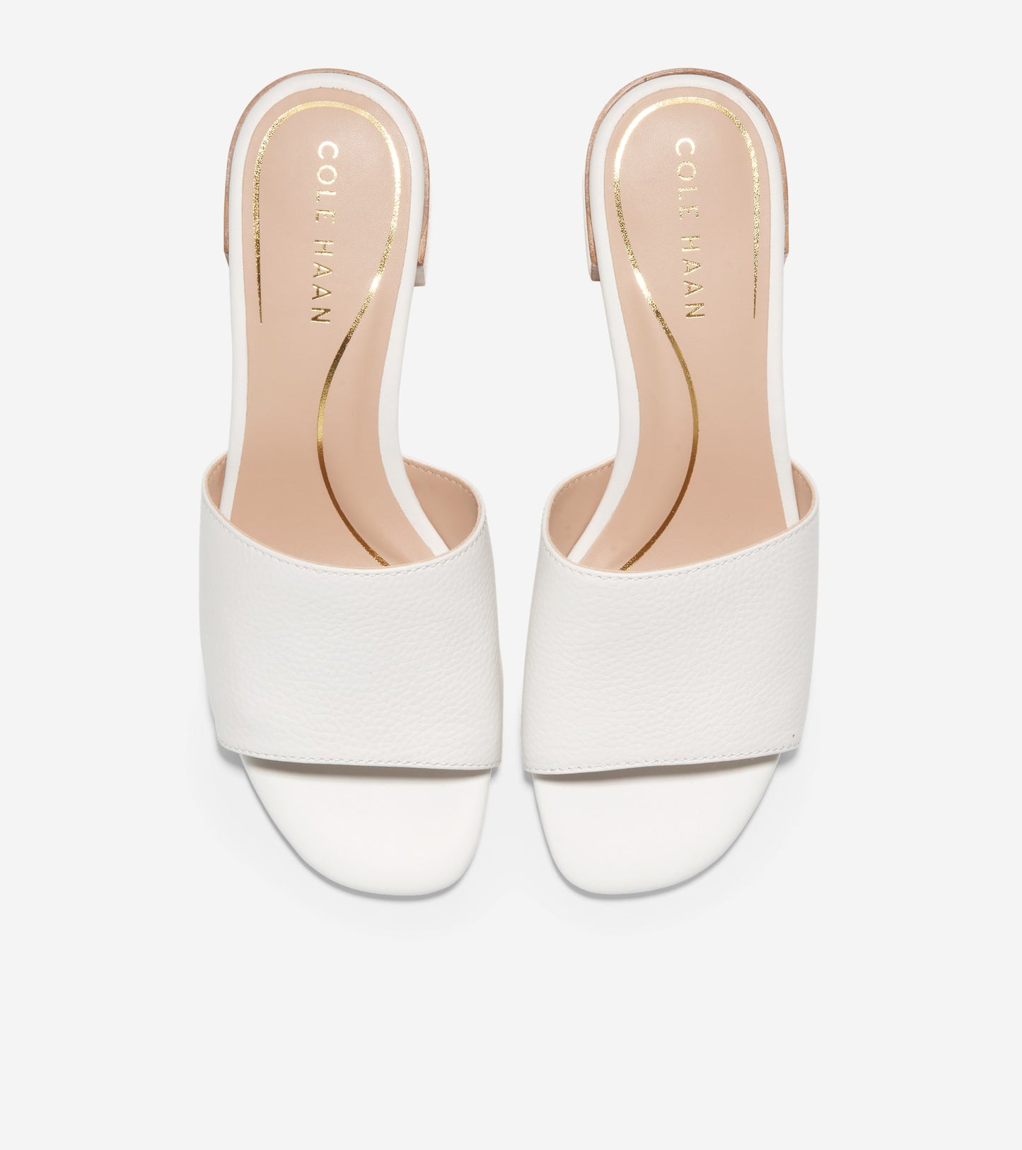 W26942:EGRET LTR