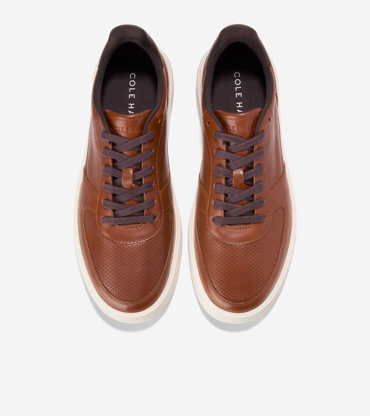 C40597:BRITISH TAN / CH DK CHOCOLATE / IVORY