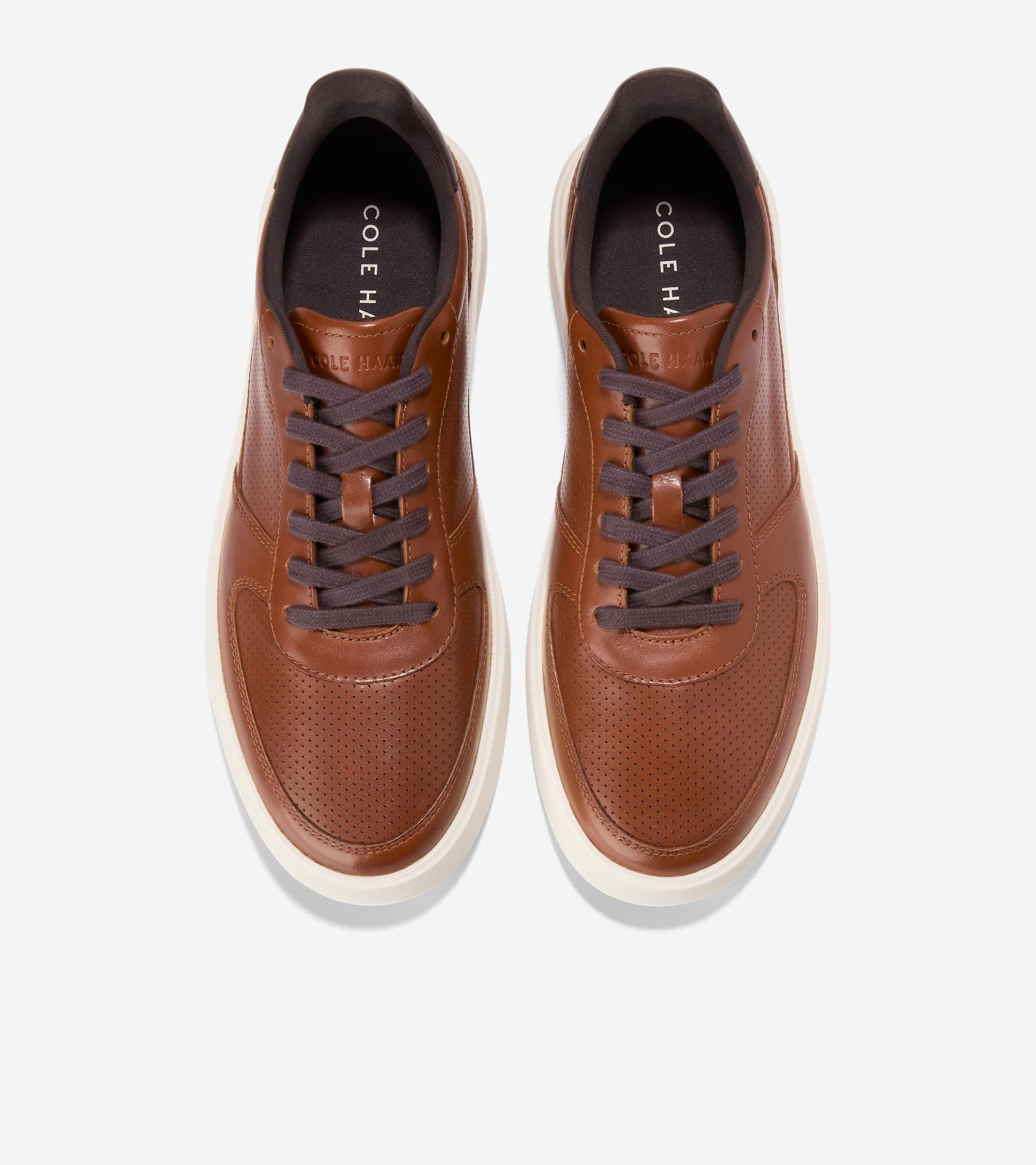 C40597:BRITISH TAN / CH DK CHOCOLATE / IVORY