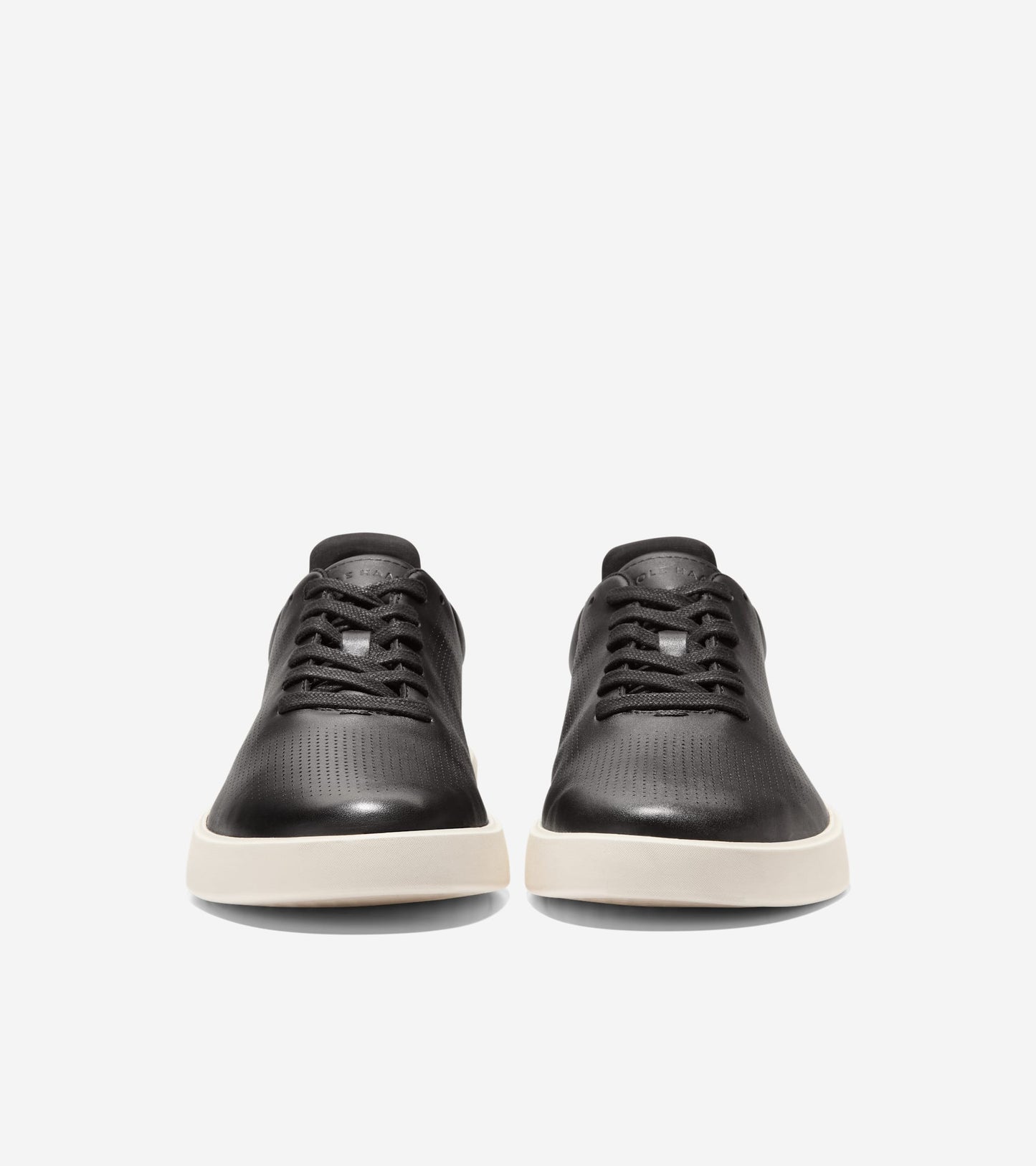 C40601:BLACK / ANCIENT SCROLL / IVORY