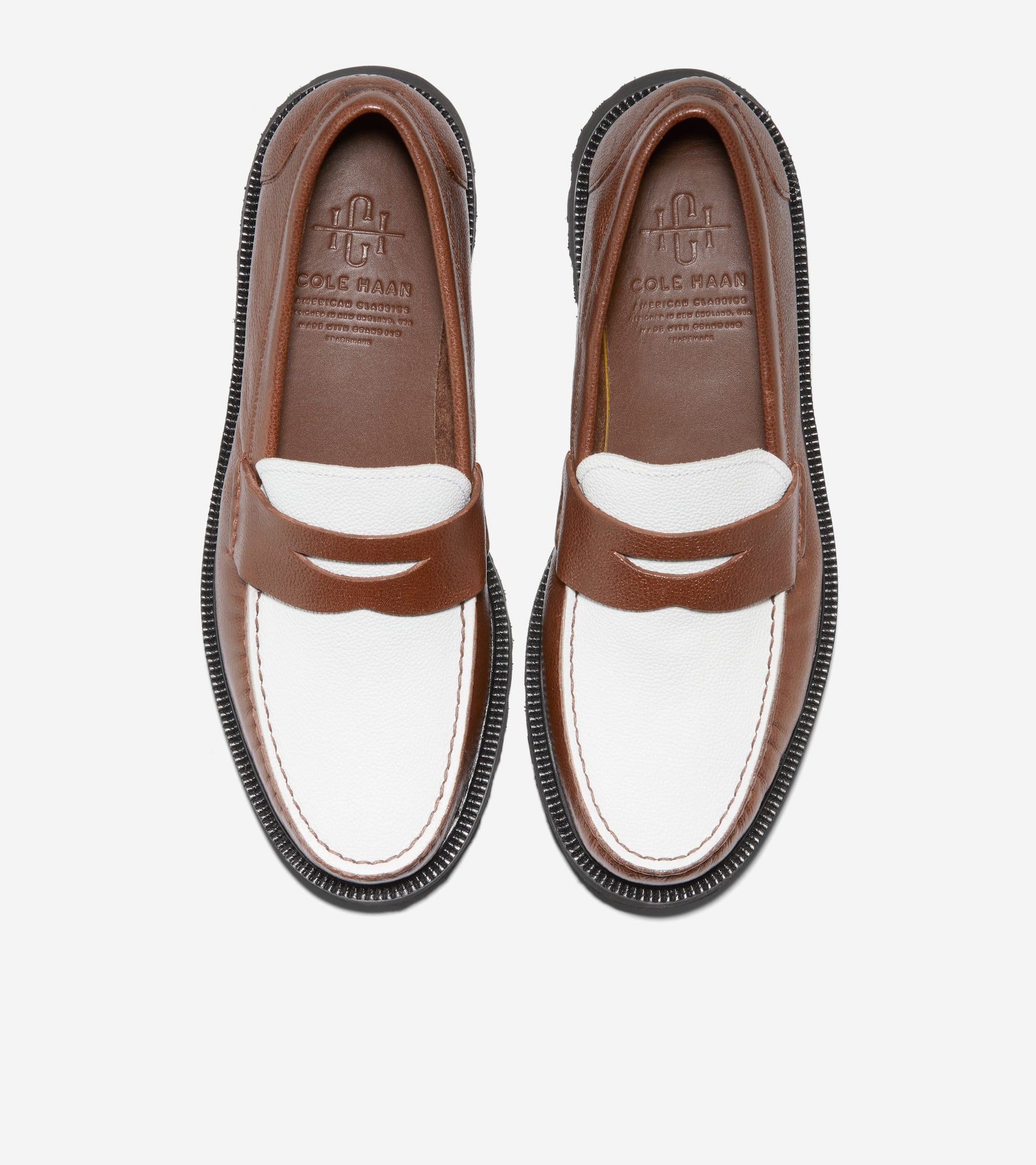 C37079:CH CHESTNUT SPECTATOR