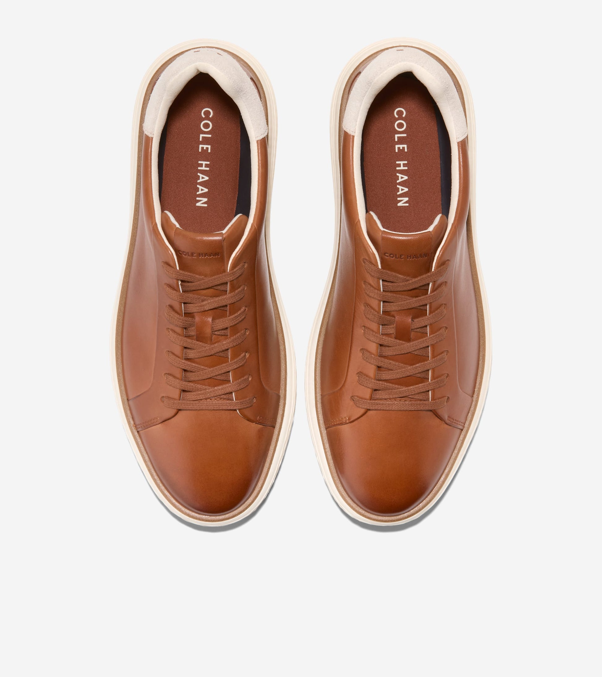 C42302:CH BRITISH TAN / CH DK CHOCOLATE / IVORY